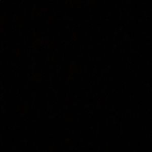 Meet your Posher, Dondre